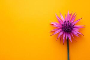Top view photorealistic Blazing Star, flower set on a vibrant background photo