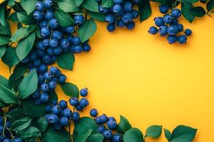 Blueberry Bush on a vibrant background, top view photorealistic plant photo