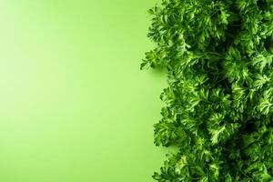 Chervil on a vibrant background, photorealistic top view Chervil plant photo
