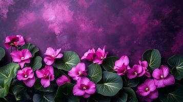 Top view photorealistic Cyclamen, flower set on a vibrant background photo