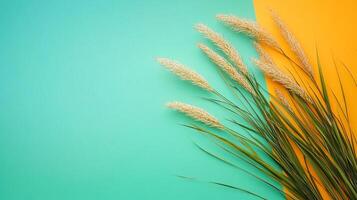 Cymbopogon on a vibrant background, top view photorealistic plant photo