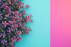 Top view Elephant Bush on a vibrant background, plant setting photo