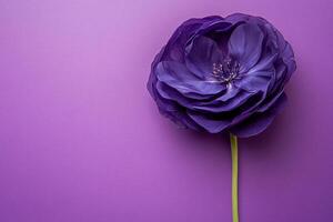 Top view photorealistic Eustoma, flower set on a vibrant background photo