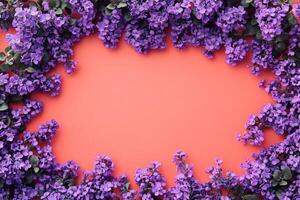 Top view Heliotrope on a vibrant background, flower setting photo