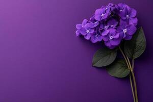 Top view photorealistic Heliotrope, flower set on a vibrant background photo