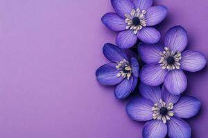 Top view photorealistic Hepatica nobilis, flower set on a vibrant background photo