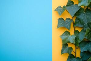Ivy on a vibrant background, top view photorealistic plant photo