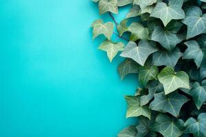 Ivy on a vibrant background, photorealistic top view Ivy flower photo
