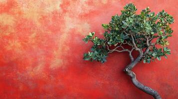Joshua Tree on a vibrant background, photorealistic top view Joshua Tree plant photo