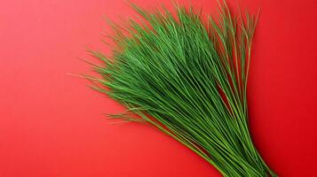 Top view photorealistic Juncus, plant set on a vibrant background photo