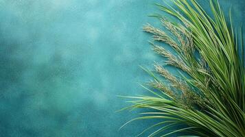Juncus on a vibrant background, photorealistic top view Juncus plant photo