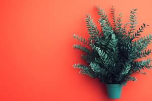 Top view photorealistic Nephrolepis exaltata, plant set on a vibrant background photo