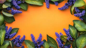 Top view Pickerelweed on a vibrant background, plant setting photo