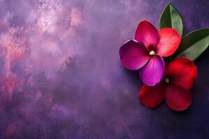 Top view photorealistic Pinguicula, plant set on a vibrant background photo