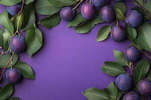 Top view photorealistic Plum Tree, plant set on a vibrant background photo