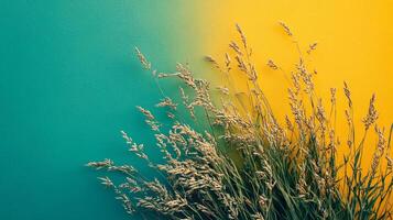 Switch Grass on a vibrant background, top view photorealistic plant photo