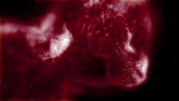 Study of cell division through microscope. Abstract animation of dark red cells for any medical, technological and similar projects. video