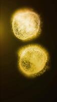Study of cell division through a microscope. Abstract animation of yellow cells for any medical, technological and similar projects. video