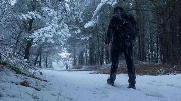 A person walking through the woods in the snow video
