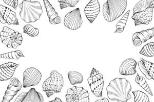 Frame with seashells Hand drawn illustration. vector