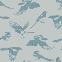 Seamless pattern with bird, magpie. Hand drawn illustration vector