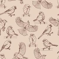 Seamless pattern with titmouse. Hand drawn illustration vector