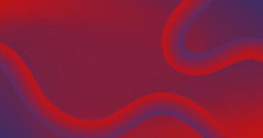 Gradient Abstract background with Fluid lines in red and blue colors illustration. vector