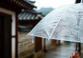 Raindrop Details on Umbrella, with blurred background photo