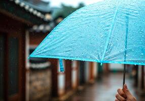 Raindrop Details on Umbrella photo