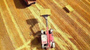 Agricultural machinery working on field in summer. Machine carrying over straw bales and packed into a tractor trailer on yellow field background. Aerial view. video