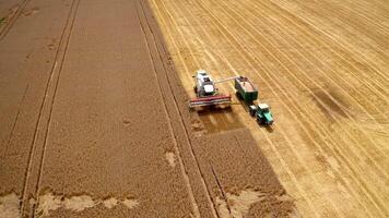 Harvesting season in farmland. Combine harvester pouring ripe grains into a tractor on yellow field background. Aerial view. video