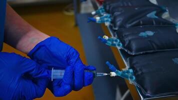 Worker fills syringe with vaccine for chicks. Hands in gloves of veterinarian dialing medicine from packs with vaccine. Close-up. video