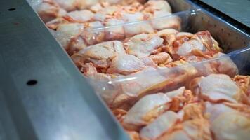 Fresh chicken meat production. Raw chicken meat parts in containers in refrigerator on a poultry processing factory. video