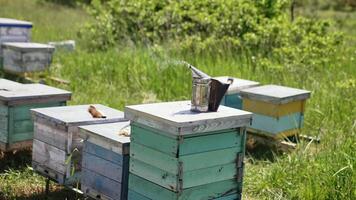 Smoker stands on a hive and smoking. Beekeeping and apiculture concept. Honey and bees. Beekeeping tool on apiary on green landscape. video