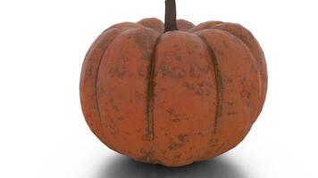 yellow pumpkin on white background video