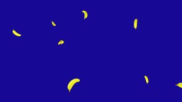 Bananas falling down from the top on blue screen background video