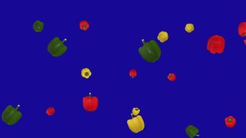 Many Random color of Paprika falling down on blue screen background video
