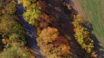 An aerial view of a lone white car driving on a rural highway surrounded by fields. video
