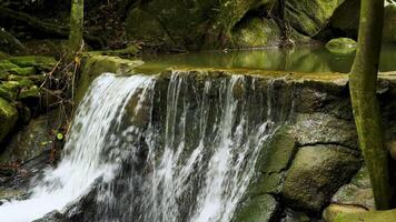 A serene, medium shot of a small waterfall gently flowing over moss-covered rocks and stones into a calm, clear pool of water. The surrounding environment features lush green moss and foliage video