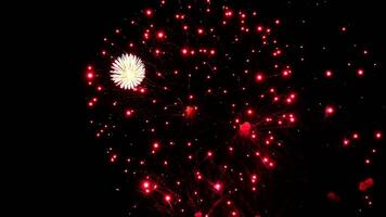 Celebrate Independence Day and New Year With Stunning Slow Motion Fireworks Display in 8K Resolution video