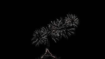 Firework Display at USA Festival Celebrating Independence Day 2025 and New Year 2026 in Stunning Slow Motion Captured With 8k Camera video