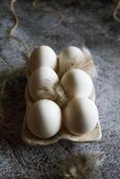 6 chicken eggs standing with feathers in a ceramic stand on a gray background photo