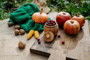 autumn harvest, pumpkin, nuts, apples, corn, red berries on a wooden board in the garden photo