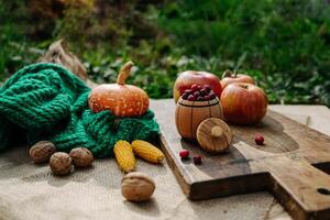 autumn harvest, orange pumpkin, nuts, corn, red berries and apples lie in the garden on a tablecloth photo
