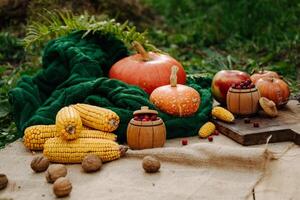 autumn harvest, corn, orange pumpkin, apples, nuts, red berries on a brown wooden board photo