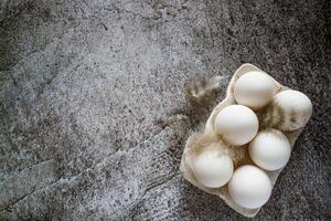 white chicken eggs with feathers on a ceramic stand stand on a gray neutral concrete background photo