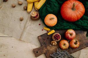 autumn harvest, corn, apples, lavender, large orange pumpkin, nuts, red berries on a green knitted scarf photo