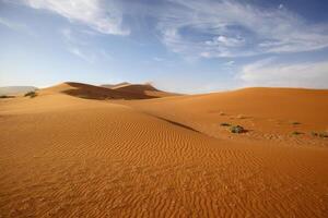 Patterns in the sand at Sossusvlei photo