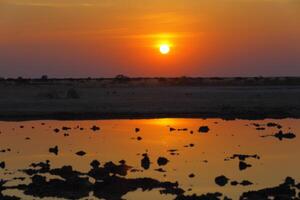 Sunset at the waterhole in Nxai Pan NP photo