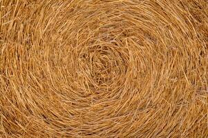 Close-Up of Straw Bale Texture for Background photo